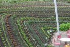 Cells River NSWpermaculture-5.jpg; ?>