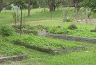 Cells River NSWpermaculture-8.jpg; ?>